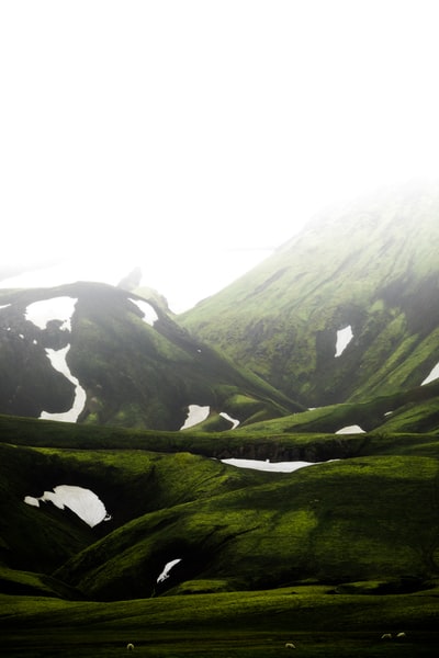 白昼青山